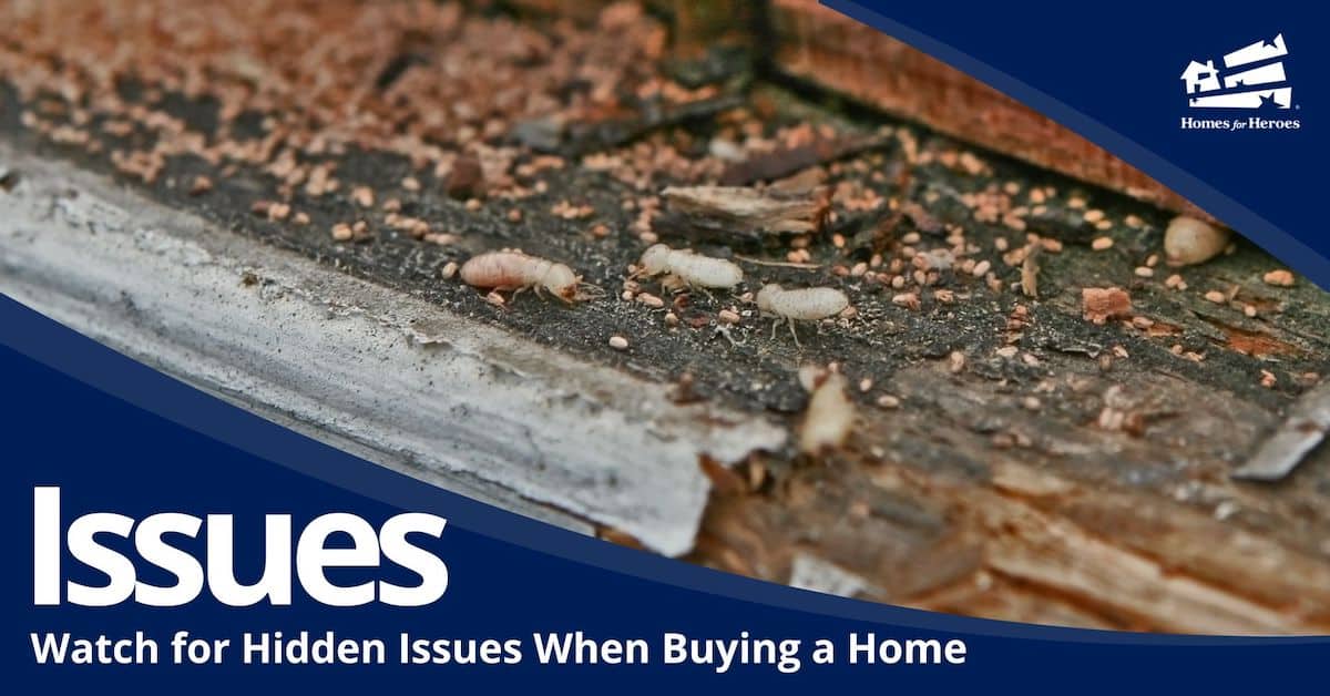 look for termites rotten window sills when buying home Homes for Heroes