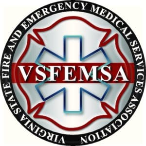 VSFEMSA Foundation logo